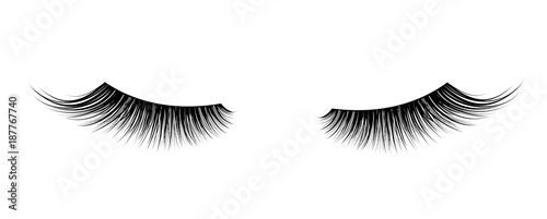 Black False eyelashes. Mascara single decorative element.