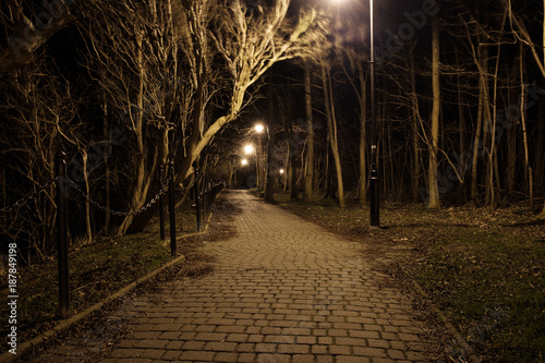 walkway in a park by night
