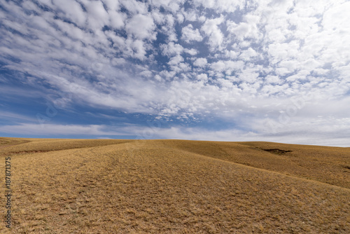 Typical Mongolian landscape 