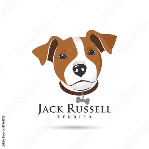 Jack Russell Terrier Head