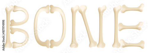 bone vector graphic