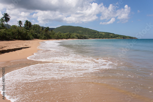 Plages de Guadeloupe : Cluny