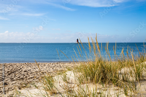 View of Delaware Bay from the Beach at Cape Henlopen, Lewes, Delaware