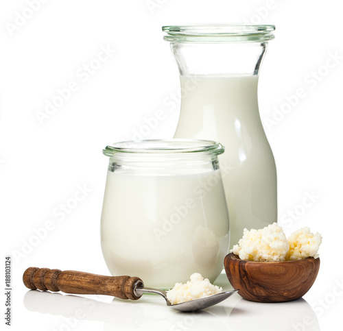 Milk kefir grains. milk kefir, or búlgaros, is a fermented milk drink that originated in the Caucasus Mountains made with kefir "grains", a yeast/bacterial fermentation starter.