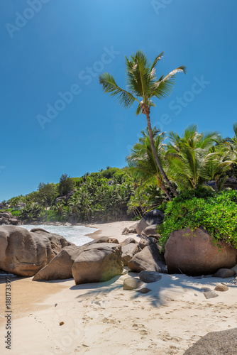 Tropical beach on the paradise island in Seychelles.