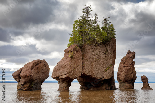Flowerpot rocks of Hopewell, New Brunswick
