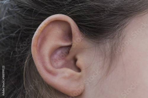 orecchio destro