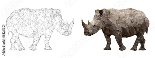 Rhino triangulation vector