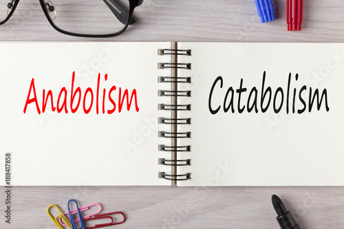 Anabolism and Catabolism written in notebook