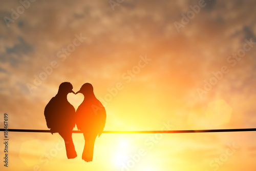 silhouette of bird in heart shape on pastel background and Valentine's Day