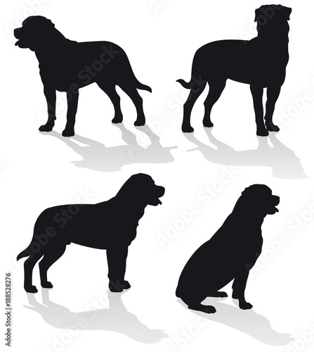 Rottweiler - Vector dog silhouettes collection isolated on white