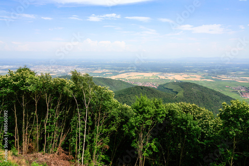 above view of region Alsace Wine Route from Vosges