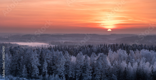 Winter landscape with frosty trees and beautiful sunset at evening time in Finland