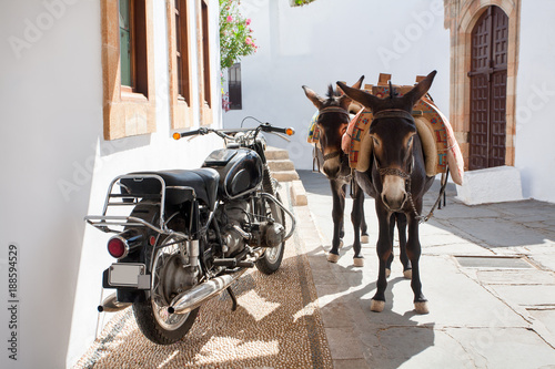 Greek donkeys - famous. tourist symbol of the town of Lindos, Rhodes Island. Greece