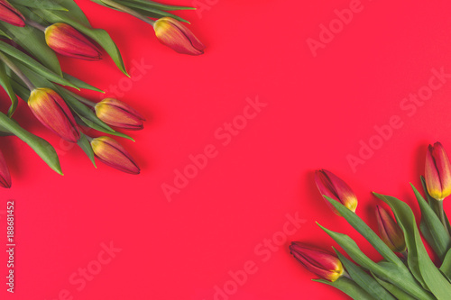 Spring flowers tulips frame on red background