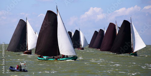 Traditional Frisian wooden sailing ships in a yearly competition on the Ijsselmeer, The Netherlands
