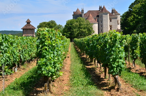 VIGNE ET CHATEAU DE LAGREZETTE CAILLAC LOT FRANCE