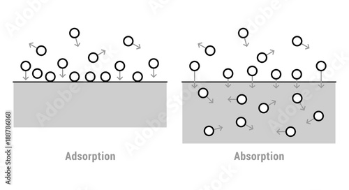 Scheme of absorption and adsorption