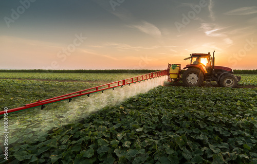 Tractor spraying pesticides on vegetable field with sprayer at spring