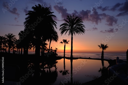 Sunset with palms on the beach