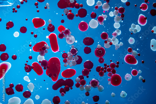 Red bubbles of blood cells on blue background closeup. Abstraction of medicine. Concept of micro processes and diseases