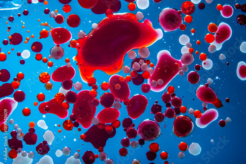 Red bubbles of blood cells on blue background closeup. Abstraction of medicine. Concept of micro processes and diseases