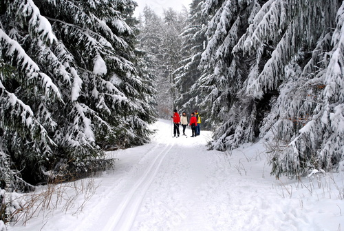 Grupa osób w zimowym lesie
