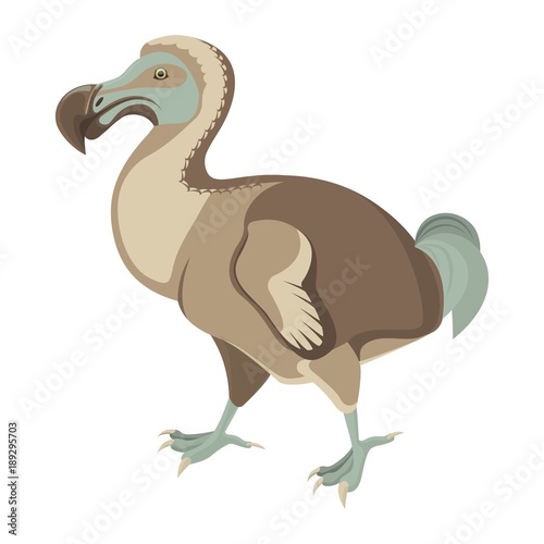 Big exotic dodo bird with short wings and fluffy tail