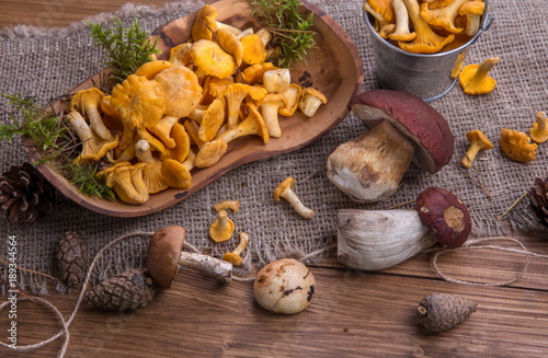 Wild fresh mushrooms on a rustic wooden table. Chanterelles, boletus, russula. Copyspace. Autumn background