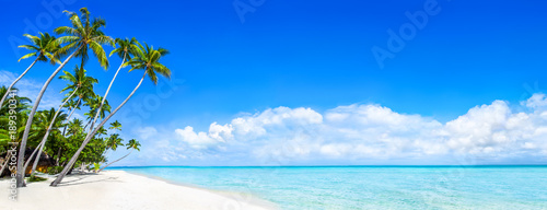 Strand Panorama als Hintergrund für den Urlaub