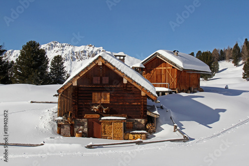 baite nella neve; sullo sfondo la Viezzena. Val di Fiemme, Trentino
