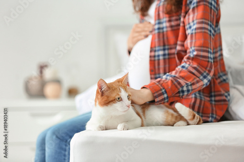 Young pregnant woman with cute cat at home