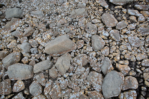 Kamienna powierzchnia pustyni arktycznej