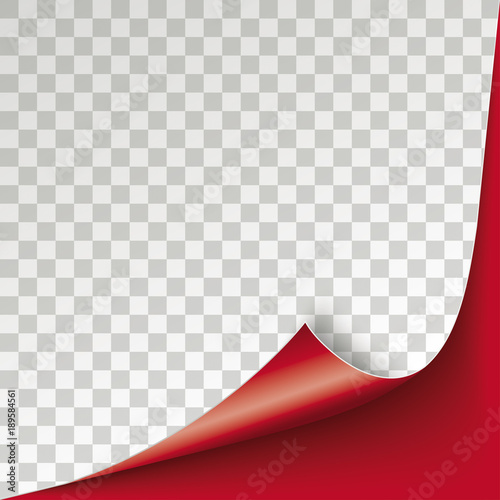 Scrolled Corner Red Paper Cover Transparent