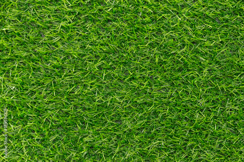 Green grass texture background pattern