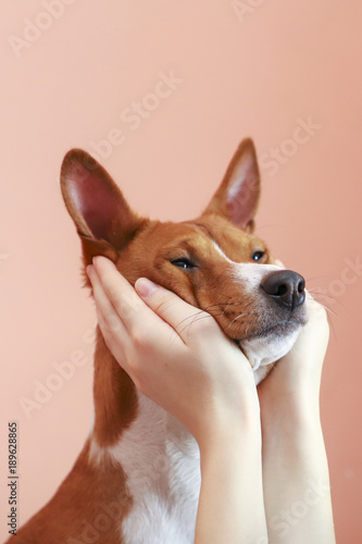 Girl holding dog head in her palms.