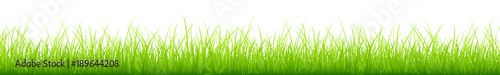 Meadow Banner Green