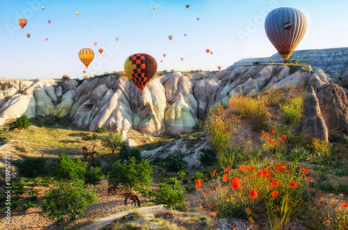 Hot air balloon flying over rock landscape at Cappadocia Turkey with flowers and hourses