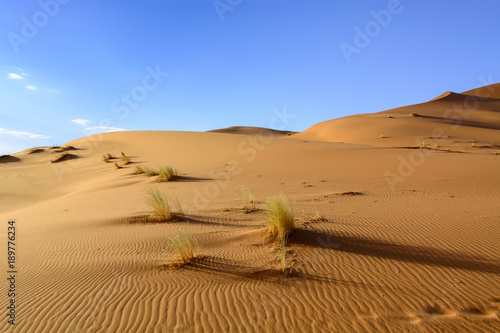 Wydmy Erg Chebbi. Sahara