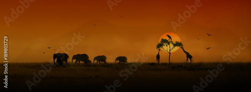 African Animals Sunset Silhouette Banner