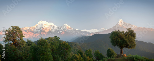 Panoramic mountain landscape. The majestic mountains Annapurna and Machapuchare and the dense green forest around. Nepal, Mardi Himal trek