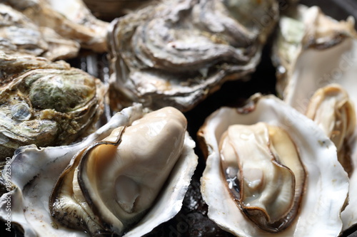 牡蠣の酒蒸し Oysters steamed with Japanese sake