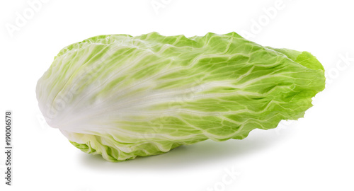 sugarloaf chicory