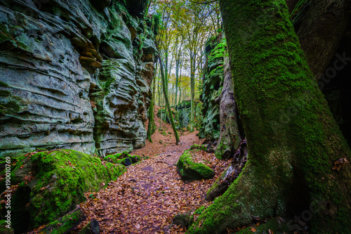 Teufelsschlucht - Eifel - Germany