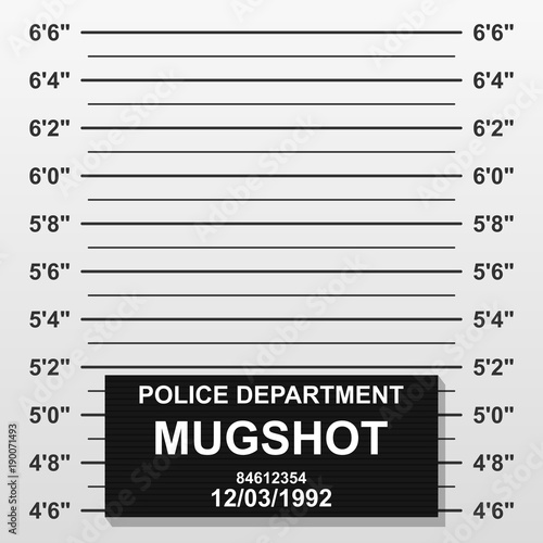 Criminal mug shot line. Police mugshot add a photo. Blank criminal police lineup with centimeter scale for photograph. Vector illustration