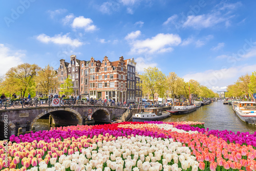 Amsterdam city skyline at canal waterfront with spring tulip flower, Amsterdam, Netherlands