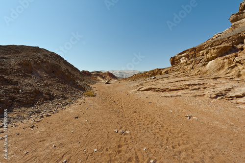 Melancholy and emptiness of the desert in Israel.