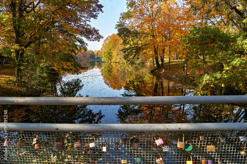 Słoneczny jesienny krajobraz - park w złotych kolorach, balustrada na moście miłości udekorowana kłódkami zakochanych par, w tle staw otoczony odbijającymi się w lustrze wody drzewami