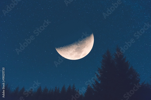 Half Moon with Milky way stars and tree silhouettes. 