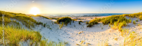 Coast dunes beach sea, panorama